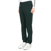 HORN GARMENT Men's Golf Pants HSM 2C AT02 DGREEN 42528600 [P]