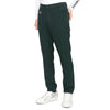HORN GARMENT Men's Golf Pants HSM 2C AT02 DGREEN 42528600 [P]